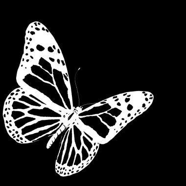 Butterfly clipart