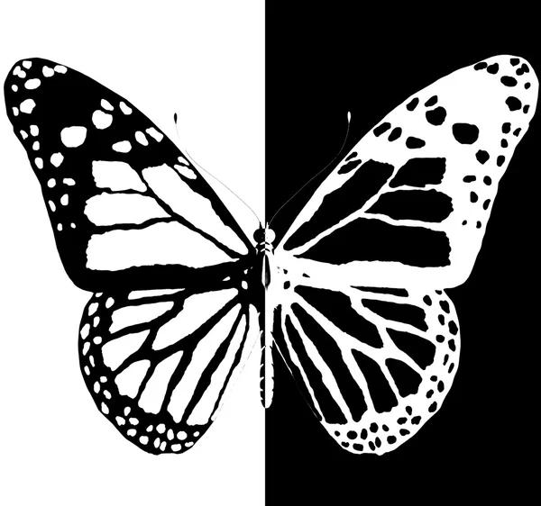 Silhouet van vlinder — Stockfoto