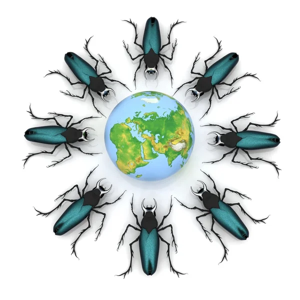 Käfer greifen die Erde an — Stockfoto