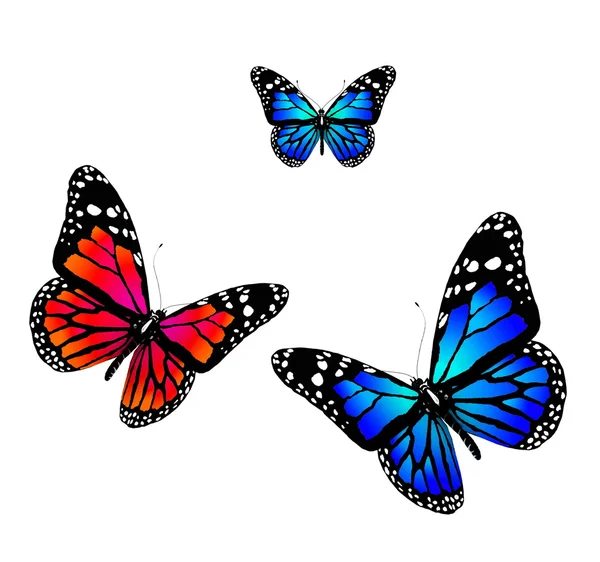 Motyle — Zdjęcie stockowe