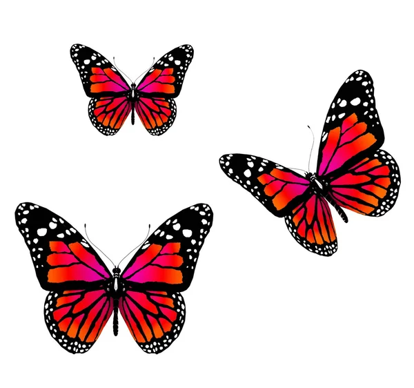 Perhoset — kuvapankkivalokuva