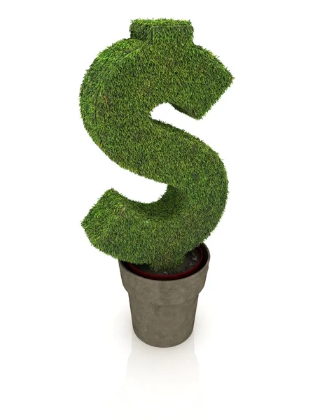 Sign of dollar, growing in a flowerpot — Stock Photo, Image