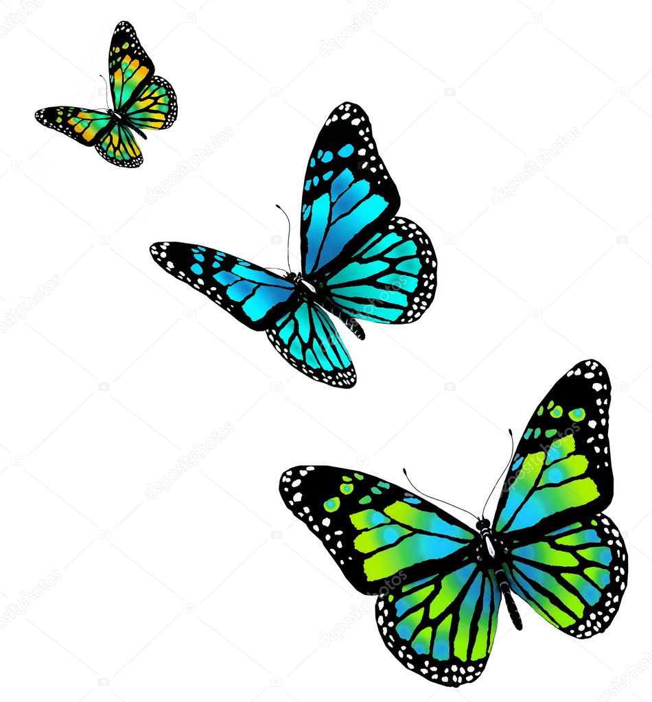 Butterflies Stock Photo By ©3DDock 8960347