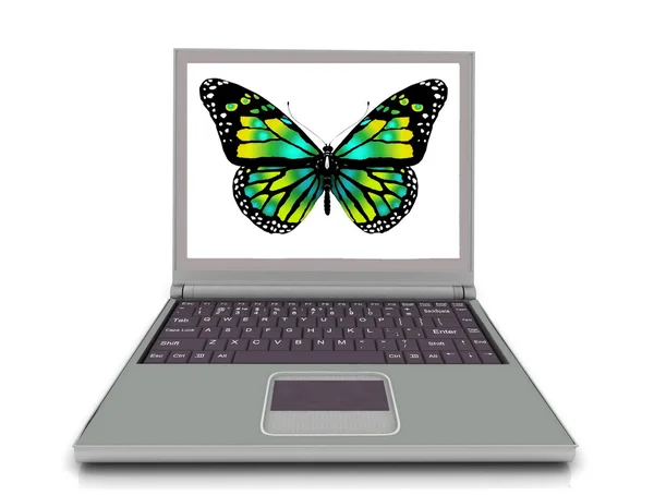 Icon of the laptop with the butterfly — Stock Photo, Image