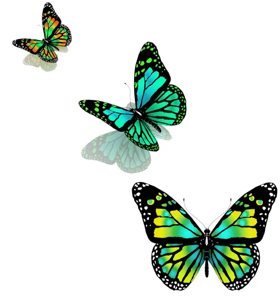 Tre fjärilar på vit bakgrund — Stockfoto