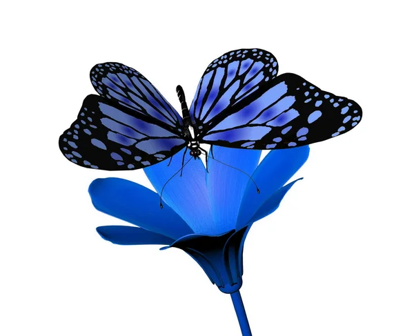 Schmetterling und Blume auf weißem Hintergrund — Stockfoto