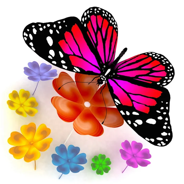 蝶と花の白い背景の上 — ストック写真