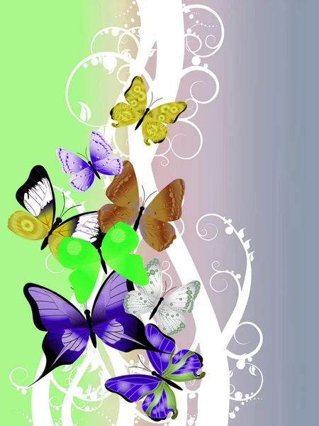 Όμορφη εικονογράφηση με πολύχρωμο πεταλούδα — Φωτογραφία Αρχείου