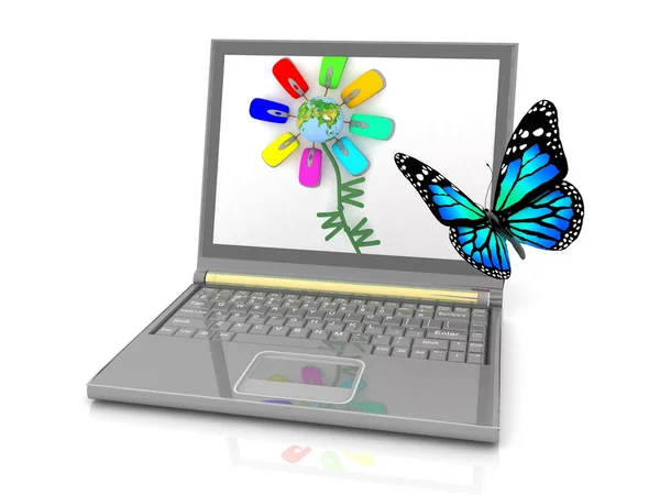 La mariposa volando a una imagen atractiva en la pantalla del ordenador portátil —  Fotos de Stock