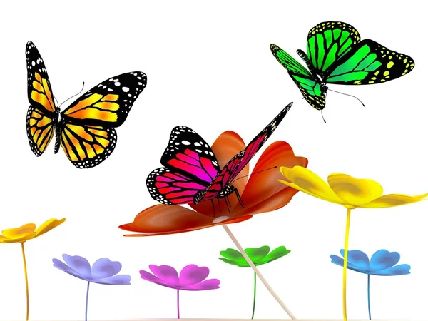 Mariposa y flores sobre fondo blanco — Foto de Stock