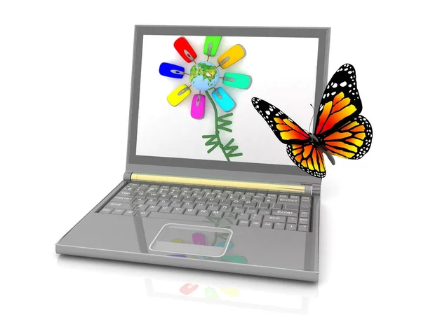 The butterfly flying to an attractive picture on the laptop screen — Zdjęcie stockowe