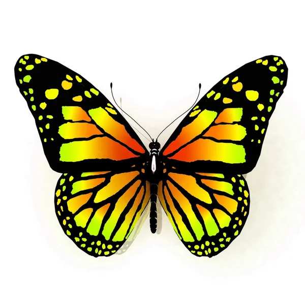 Farfalla isolata di colore giallo su sfondo bianco — Foto Stock