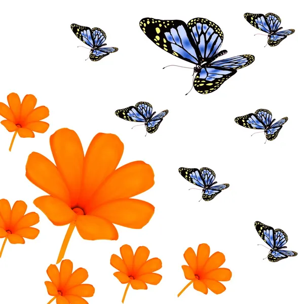 蝶と花の白い背景の上 — ストック写真