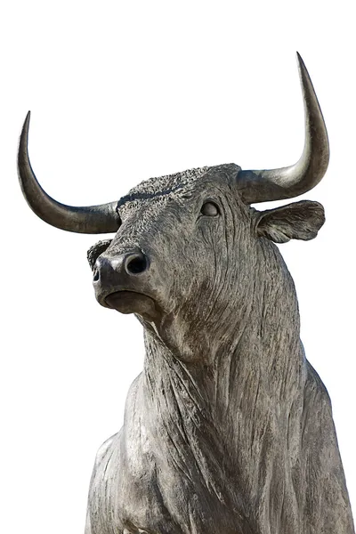 Stier geïsoleerd — Stockfoto