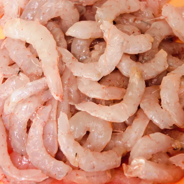 stock image Prawns