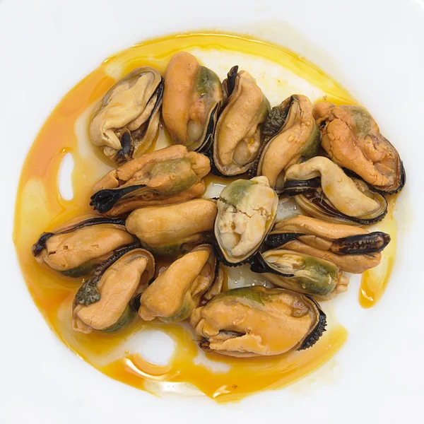 stock image Mussels