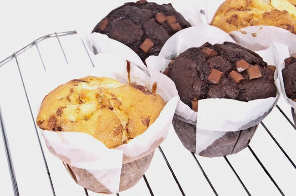 Muffins mixtos en una plancha (con caminos de recorte ) —  Fotos de Stock