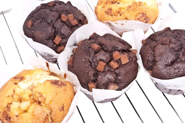 Gemengde muffins op een bakplaat (met uitknippaden) — Stockfoto