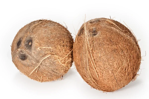 Два кокоса на белом фоне — стоковое фото