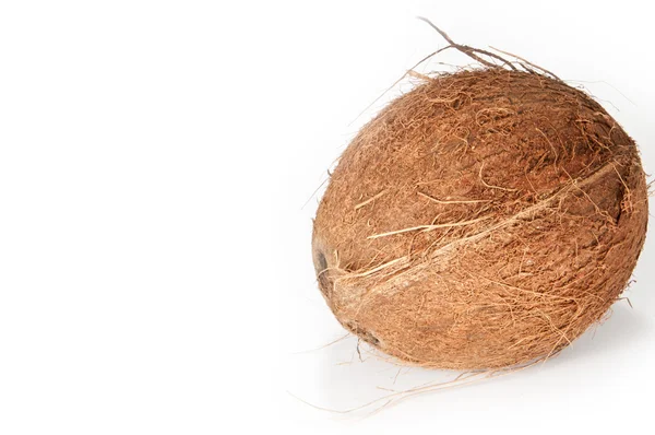 En kokosnøtt på hvit bakgrunn – stockfoto