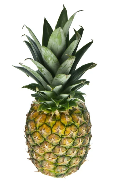Teljes ananász — Stock Fotó