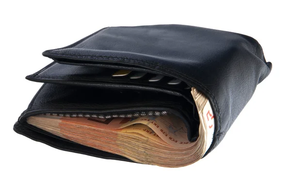 stock image Wallet with bills