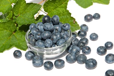 A heap of blueberries in a bowl clipart