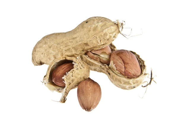 Gruppe von Erdnüssen — Stockfoto