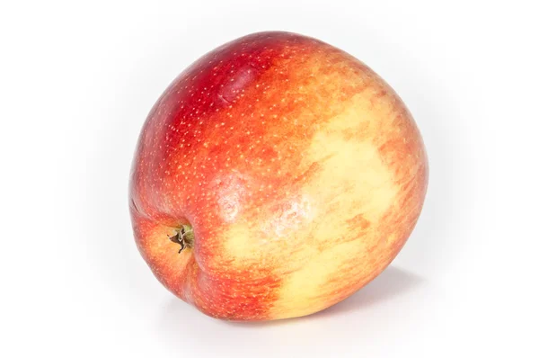 Ett enda äpple — Stockfoto