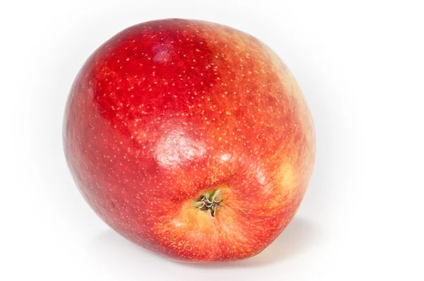 Uma única maçã — Fotografia de Stock