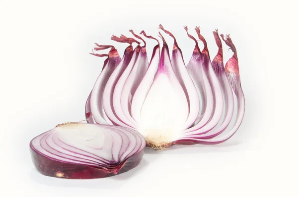 Posiekanej cebuli — Zdjęcie stockowe