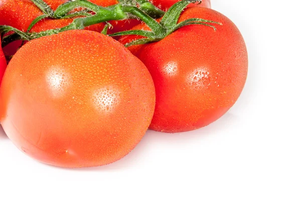 Water wetted tomatoes — Stock Photo, Image