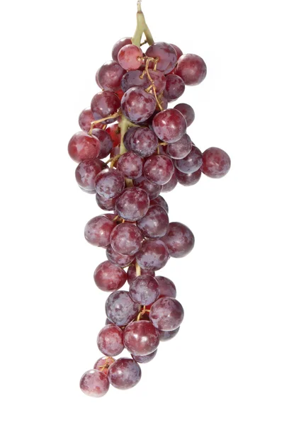 Geïsoleerde druiven — Stockfoto