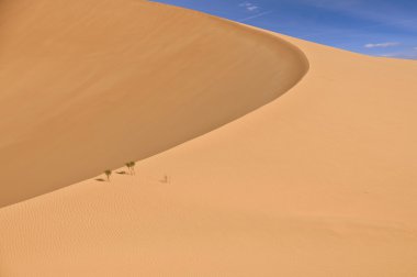 A dune in the Rub Al Khali Desert clipart