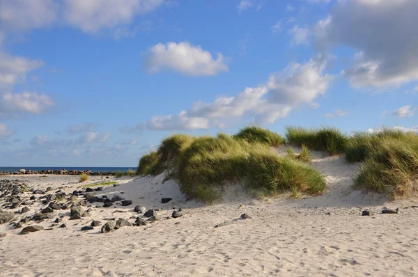 Дюна з травою і морем на задньому плані — стокове фото