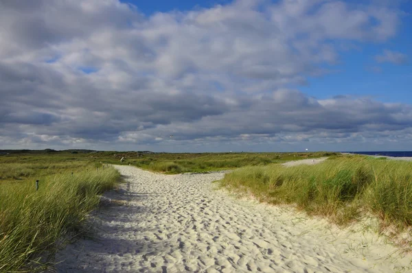 Путь на песчаном острове — стоковое фото