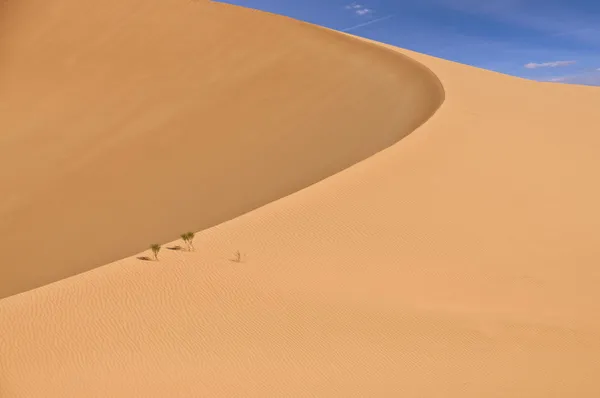En sanddyn i rub al khali öknen — Stockfoto