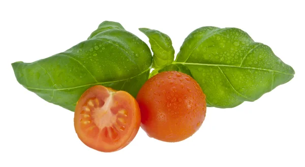 Basilikum mit kleinen Tomaten (mit Schneideweg) — Stockfoto