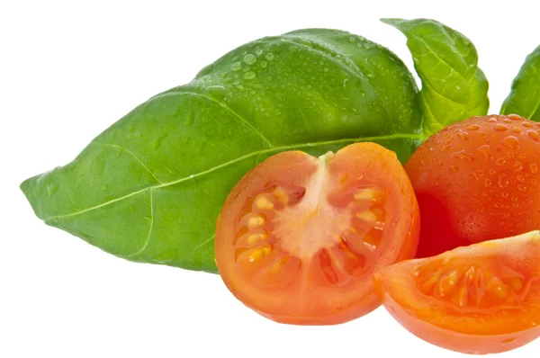 Basil with small tomato (with clipping path) — Stock Photo, Image