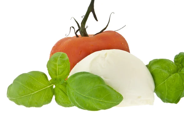 Mozzarella, Tomaten und frisches Basilikum (mit Schnittweg)) — Stockfoto