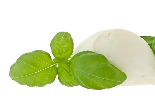 Mozzarella cheese and fresh basil (with clipping path) — Stock Photo, Image