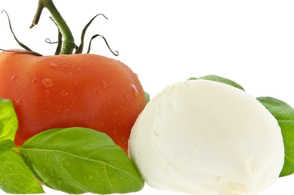 Mozzarella, Tomaten und frisches Basilikum (mit Schnittweg)) — Stockfoto