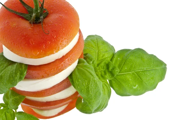 Stablet tomatmozzarella og fersk basilikum (med utklippsbane) ) – stockfoto