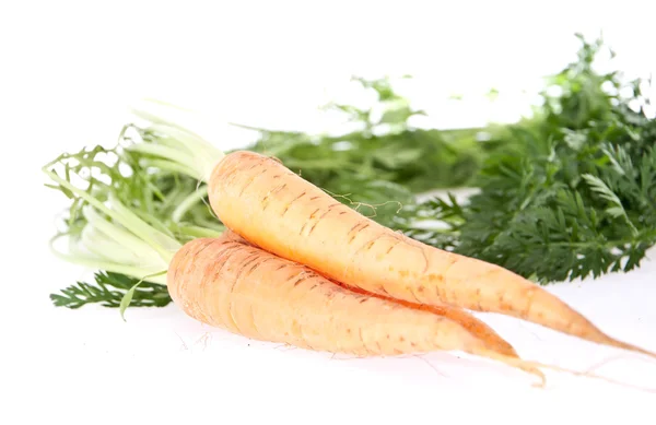 Бунді з моркви на білому тлі — стокове фото