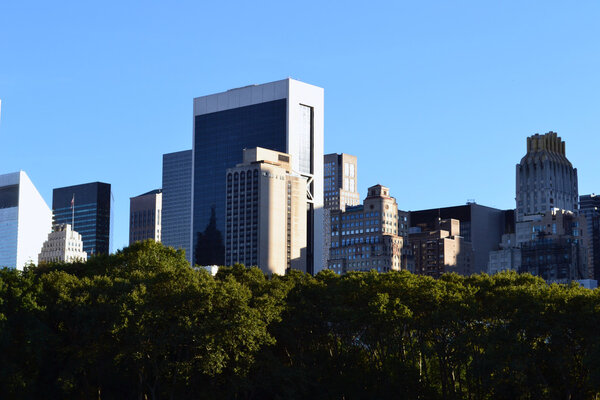 Skyscrapers over the trees, view from Central Park, Manhattan, NYC.