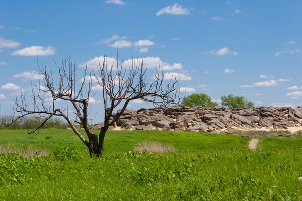 stock image Stonegrave