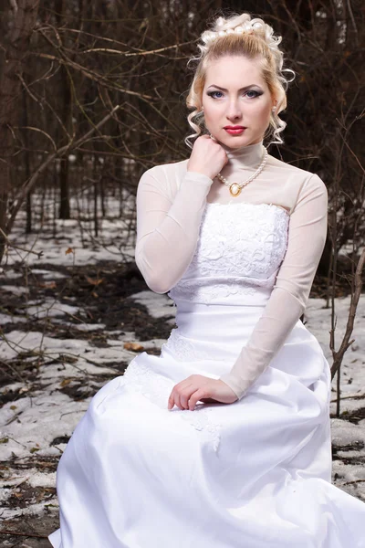 Bruid in trouwjurk in het winter forest Stockafbeelding