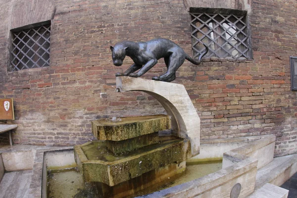 Siena. La pantera — Foto de Stock