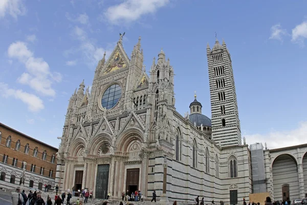Siena. Duomo di Siena — Foto de Stock