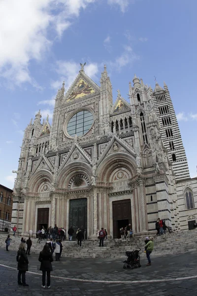 Siena. Katedra Duomo di siena — Zdjęcie stockowe